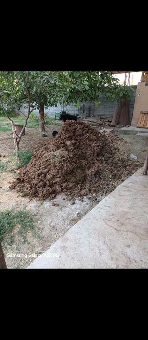 Навоз.Отдам даром