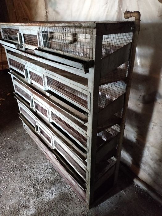 Клетка перепелинная