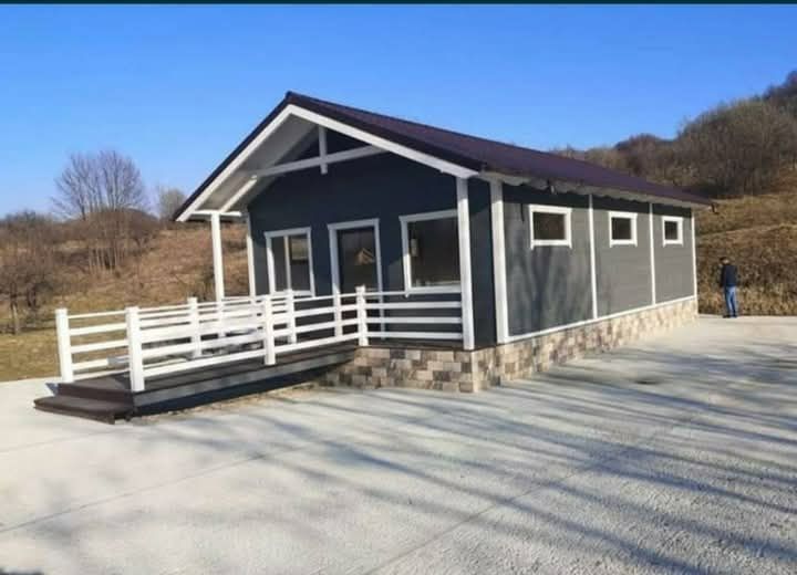 Case din lemn structura tratata