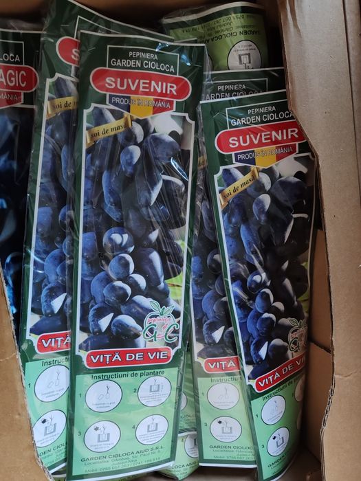 Vita de vie ambalata