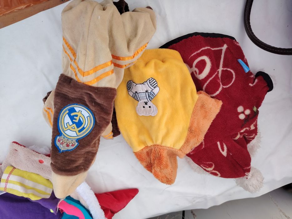 Одежда для собак