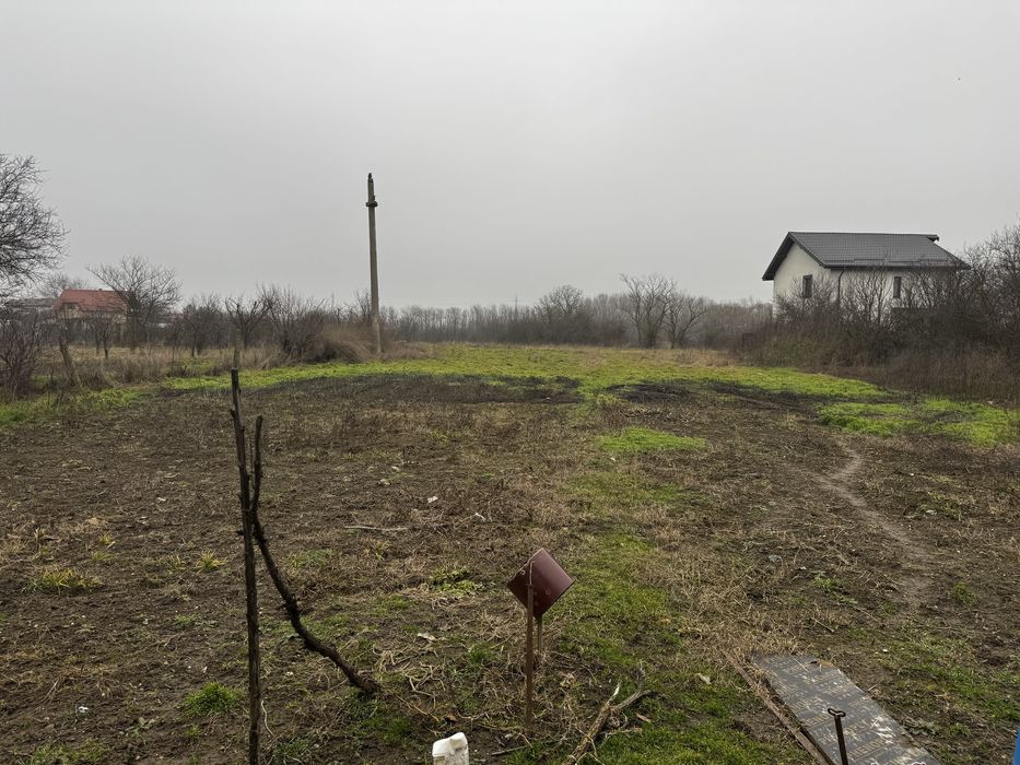 Casa cu teren 4850 mp Sabareni