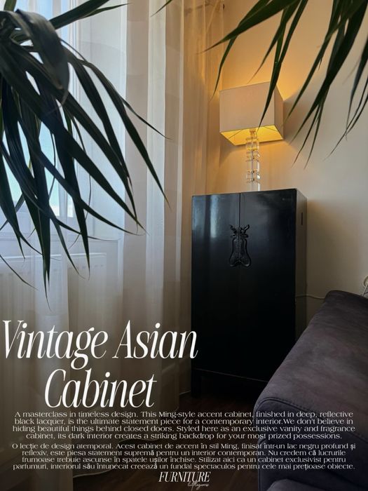 Vintage Cabinet / Dulap