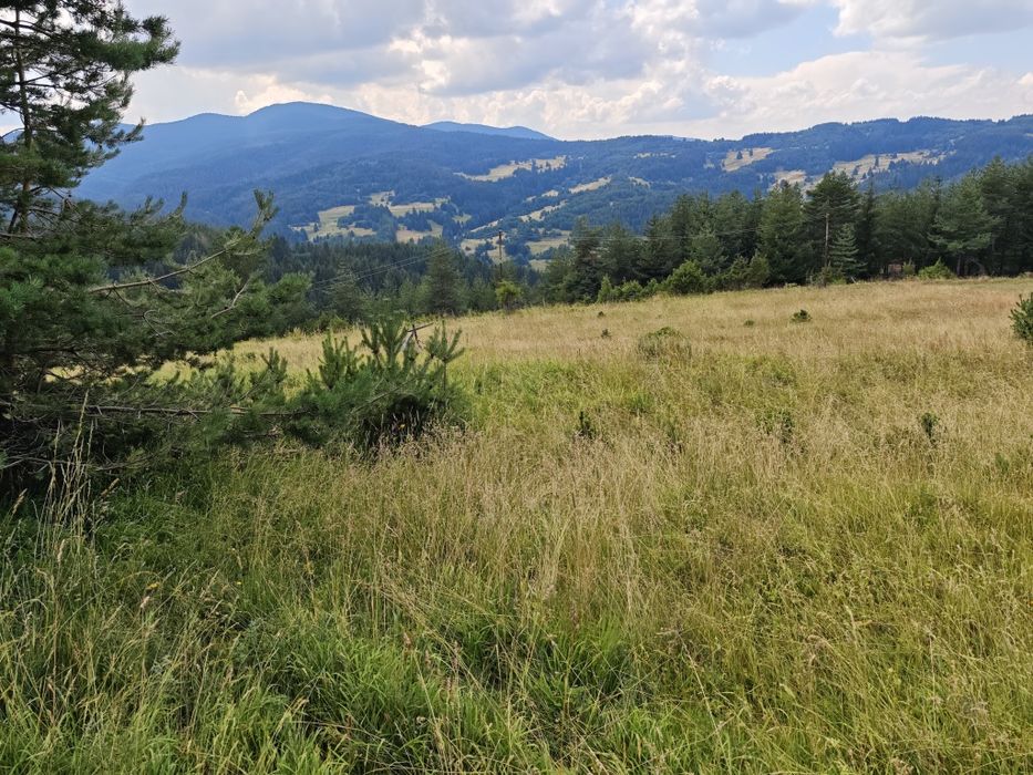 Парцел в село Лилково