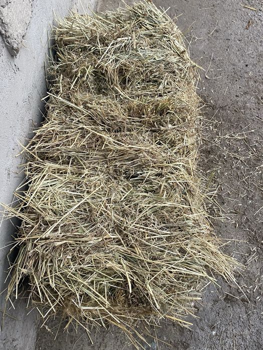 Табиғи шөп гарантия