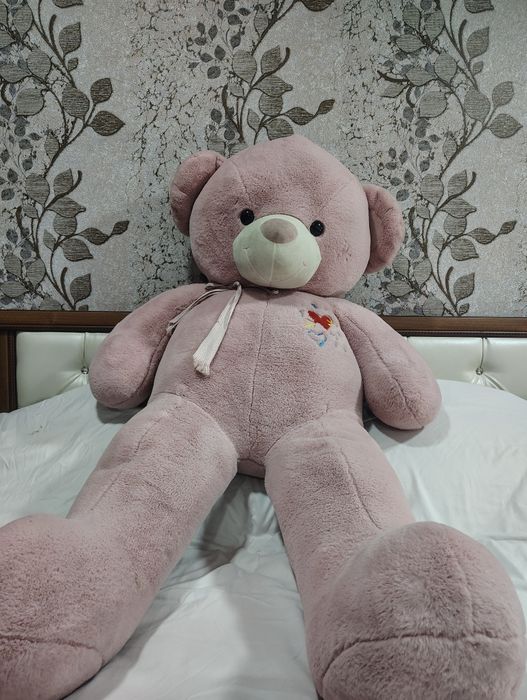 Yumshoq igrushka ayiqlar