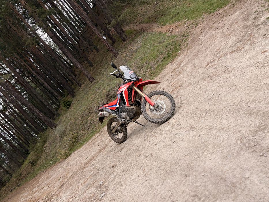 Honda crf 300 rally