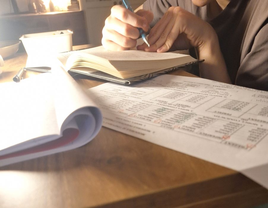 Meditații Limba Română (Clasele I–VIII) Evaluare Națională | București