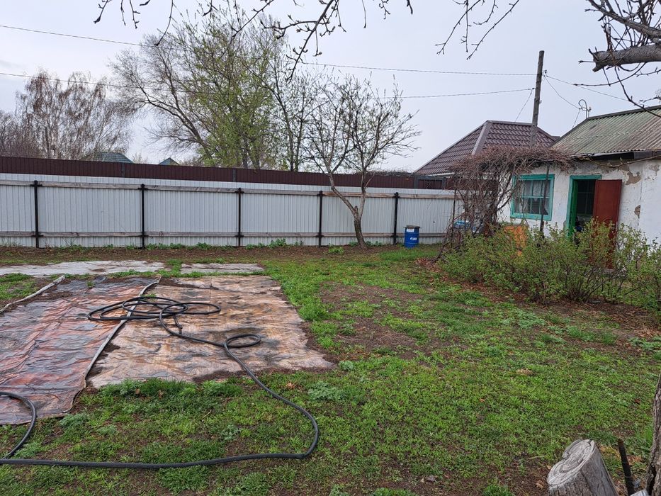 Продам дачу сад яблонька .