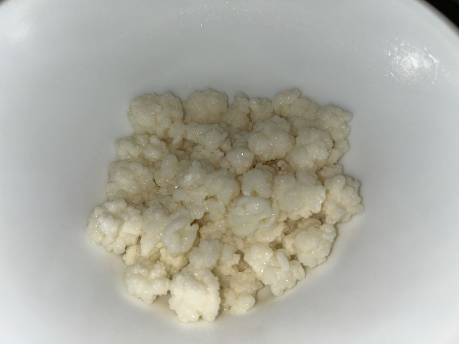 Vand ciuperca tibetana pentru Kefir