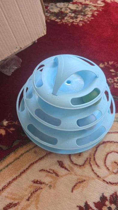Vand accesorii pisicuta, patutul/lesa pot fi folosite pt catel