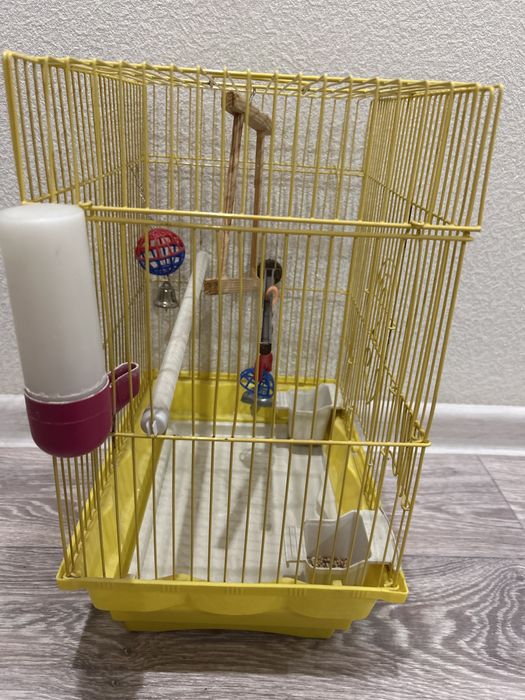 Клетка для мелких птиц