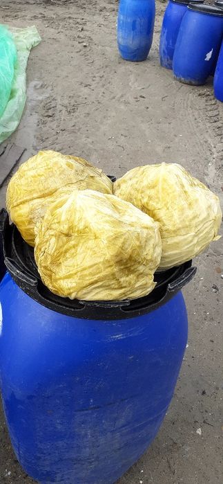 Varza murata de vanzare