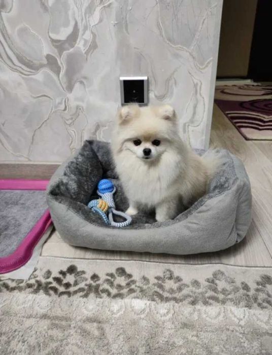 Отдадим в добрые руки нашего малыша