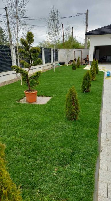 Gazon Verde Intens pentru Amenajări Profesionale