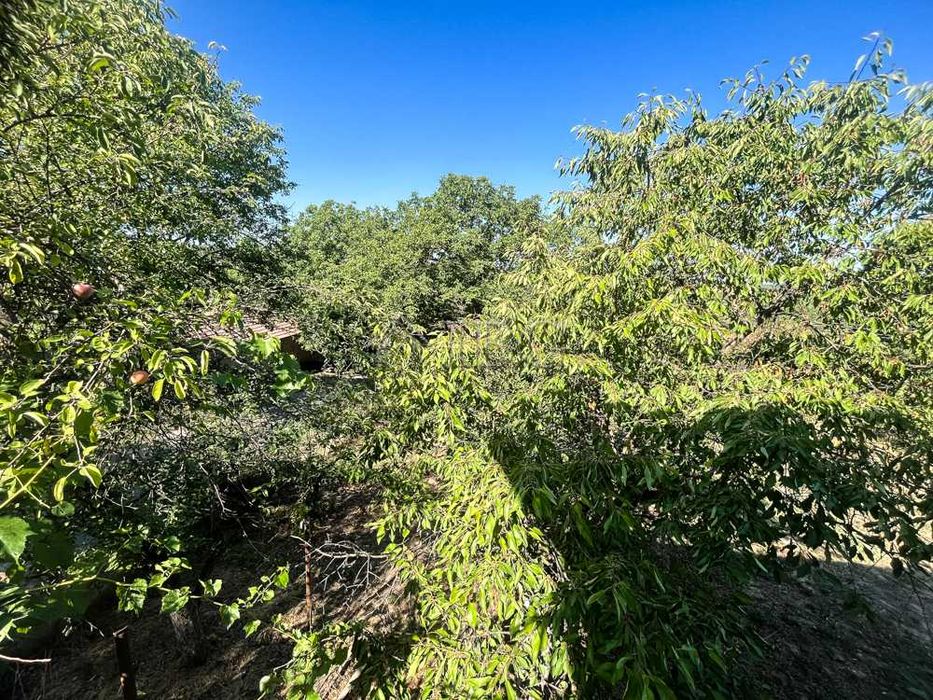 Продава се Къща в с. Тръстеник, Област Русе - 94 кв.м за 266 €/кв.м - Снимка #19