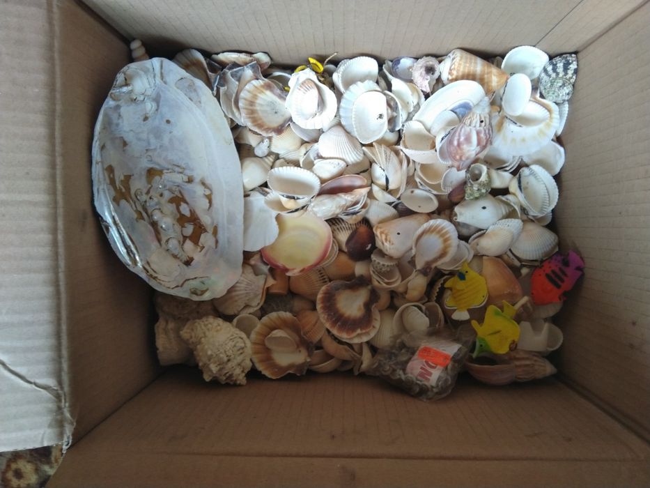 Аквариумна Декорация, Аквариумни помпи (филтри) и Нагреватели