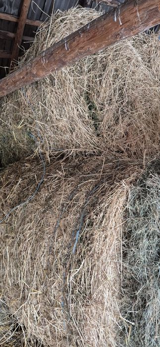 Vând baloti de lucernă coasa 2 și 3