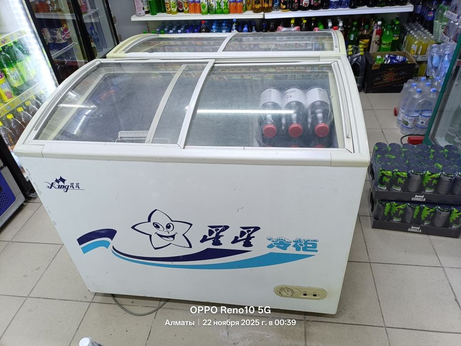 Ringer морозильник