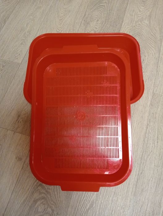 Продам кошачий набор