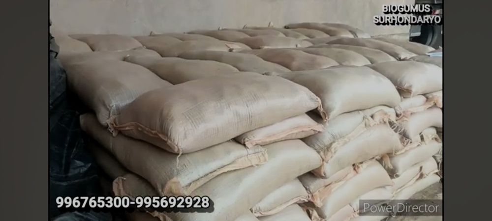 Biogumus va chuvalchang