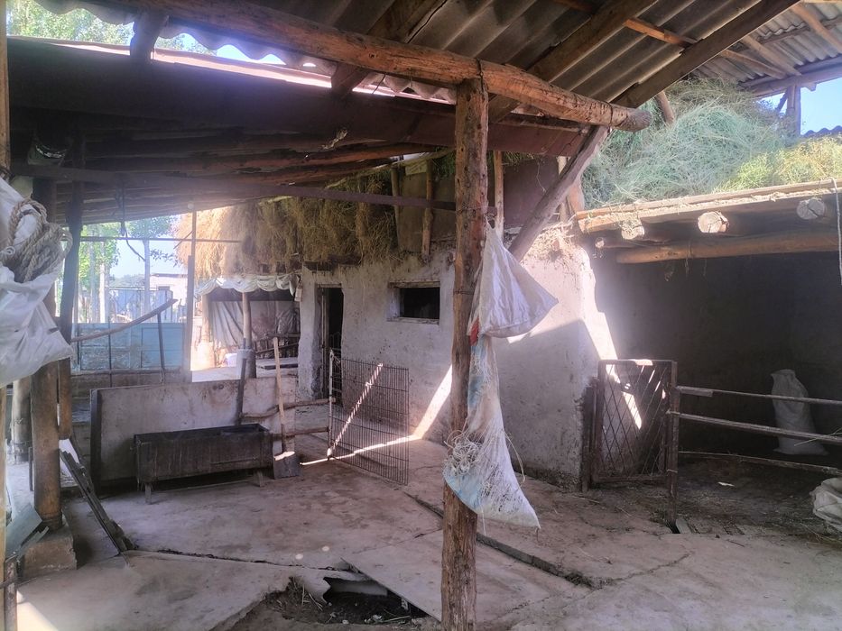 Уй сотилади 13 соток