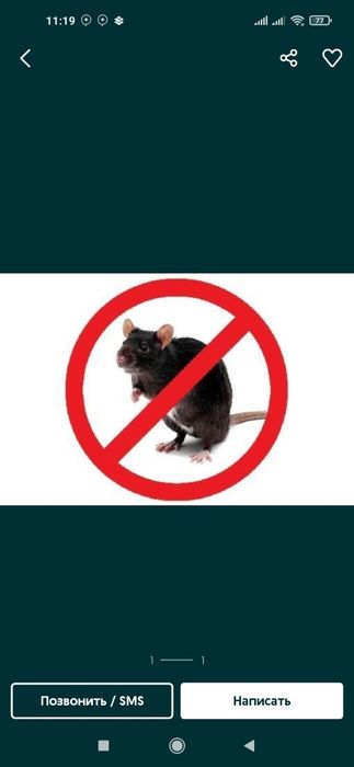 Kalamush,Sichqon,Tarakan dori Dizenfeksiya (AQSH) Russiya maxsulotlari