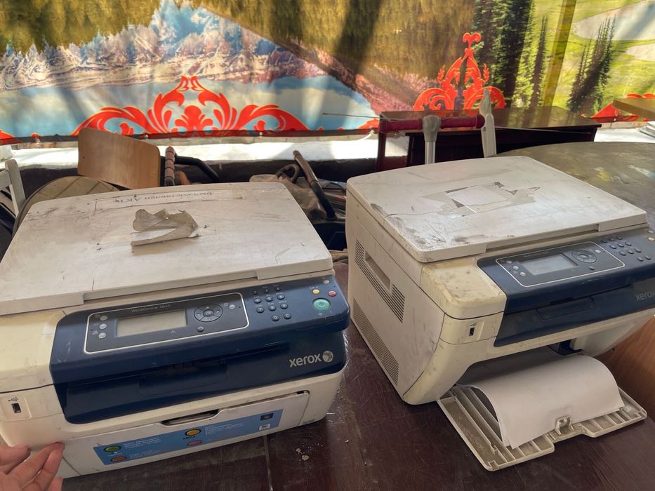 Принтер xerox 50/50