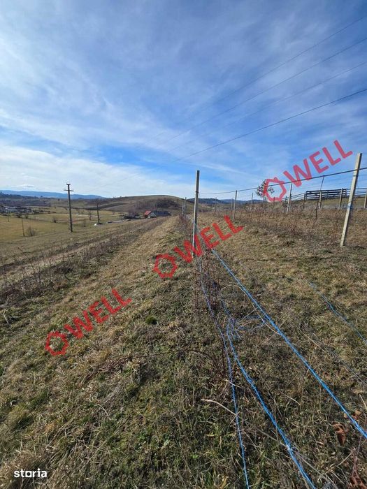 Teren intravilan de vânzare în Barcani, cu priveliște deosebită!