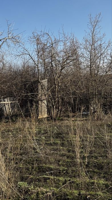 Отдам дачу на правом берегу бесплатно!