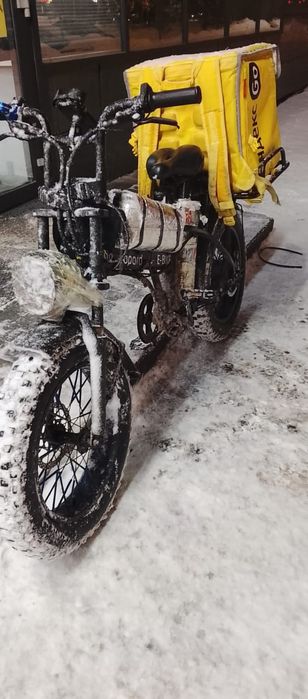 Электровелик леопард