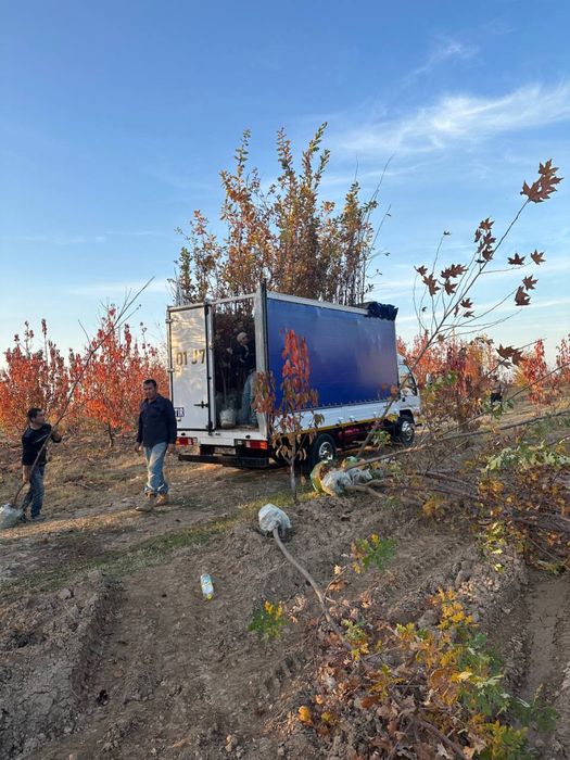 Yuk tashish hizmati isuzu 766 24/7