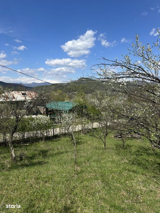 Provița de Jos - teren intravilan 2035mp - 13 Euro/mp