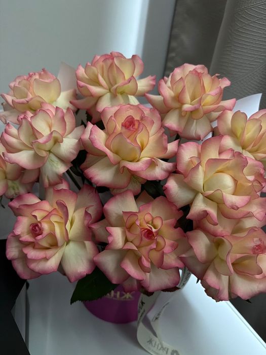 Французские розы