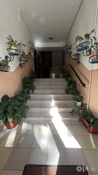 Ц14 спец-план 1в3/4/4 площадь 45м2, Ганга