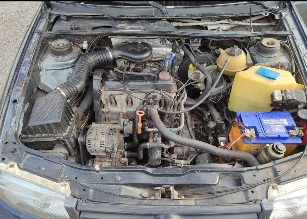 Живой пассат б4 продам