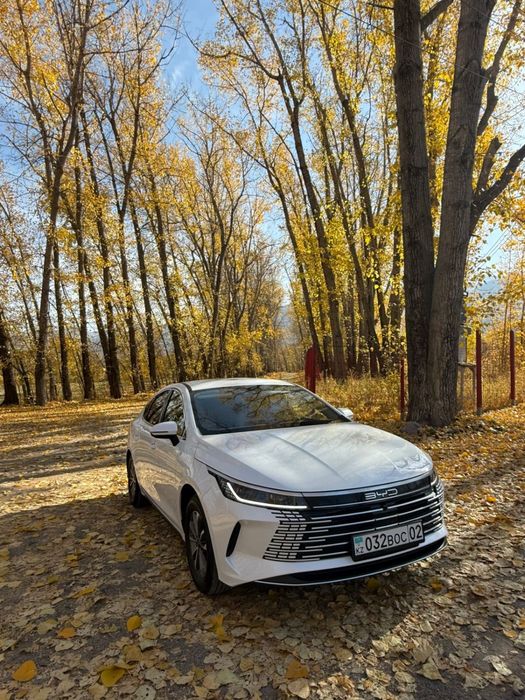 Срочно продаю летние шины на BYD