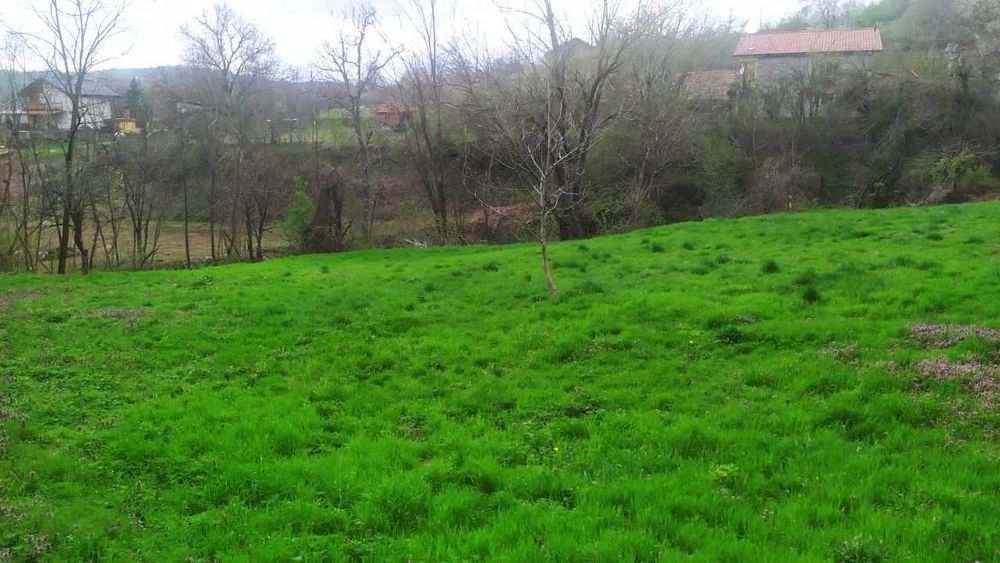 Продава се Парцел в с. Войнежа, Област Велико Търново - 2167 кв.м за 7 €/кв.м - Снимка #4