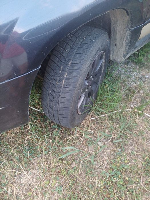 Subar schimb vaci ,tractoare ,oi