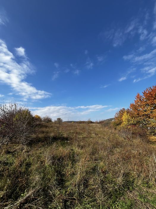 Teren Zona Baciu in apropiere de strada Venus