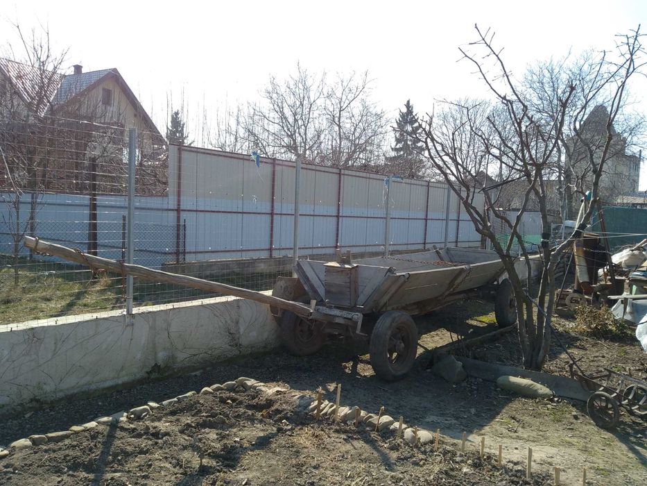 Faiton in stare buna