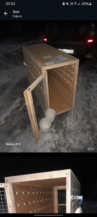 Авиабокс для больших животных