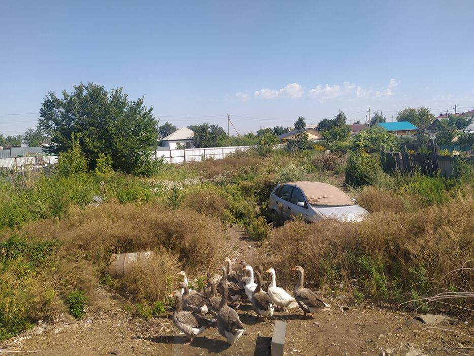 продам  продам дом