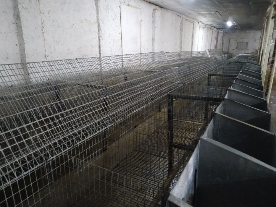 Клетка для кроликов