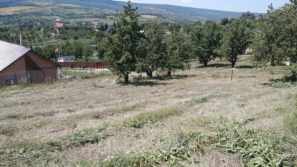 Teren intravilan Chicerea 3000mp