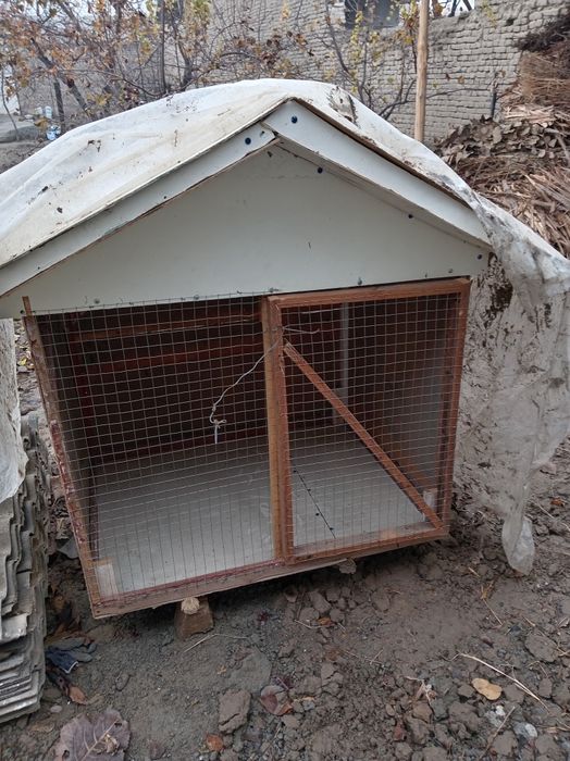 tovuq va qush kuchuk uchun ham ishlatsa bõladi