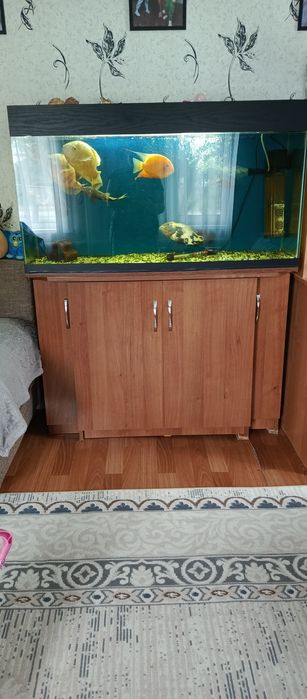 Продам большой аквариум.