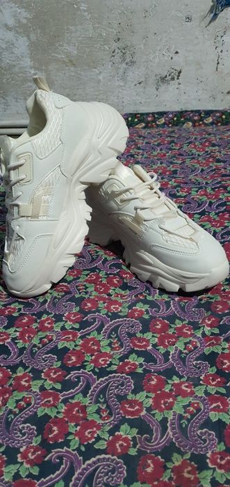 Koreyski (krasoftka)