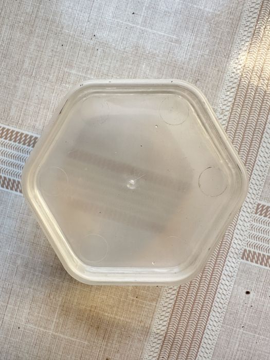 Пластик идиш 100мл.