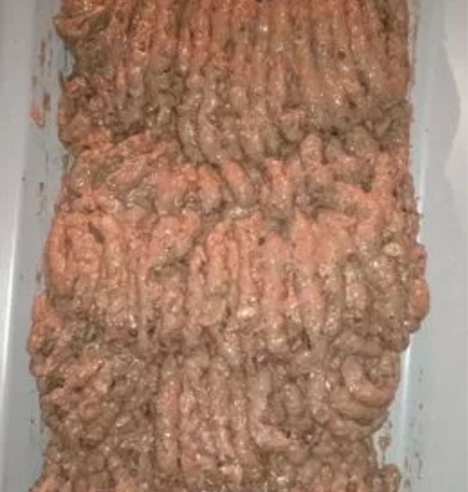 Корм , фарш , рыбные отходы